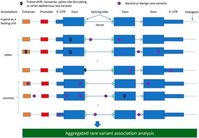 Recent advances and challenges of rare variant association analysis in the biobank sequencing era